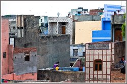 Delhi 